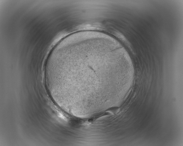 X0000080741419200701021135