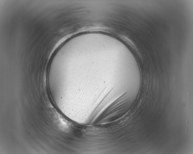 X0000080741420200701021135