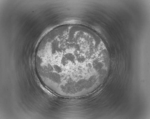 X0000080741421200701021135