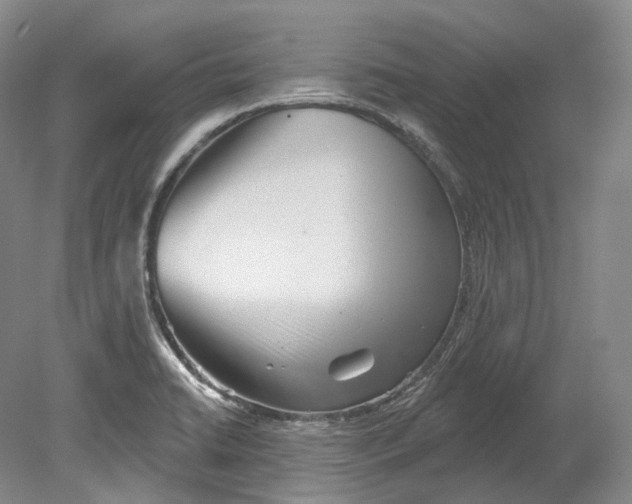 X0000080741422200701021135