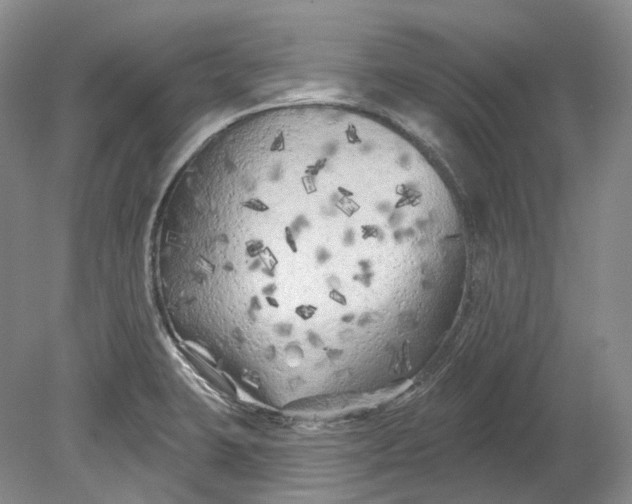 X0000080741423200701021135