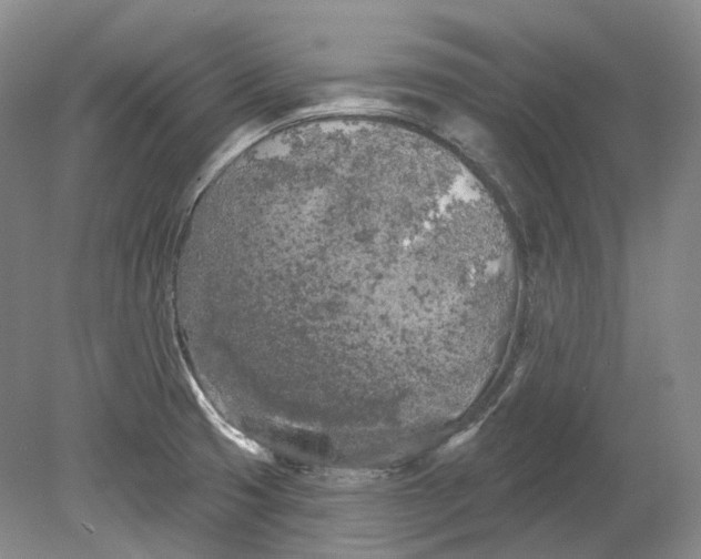 X0000080741425200701021135