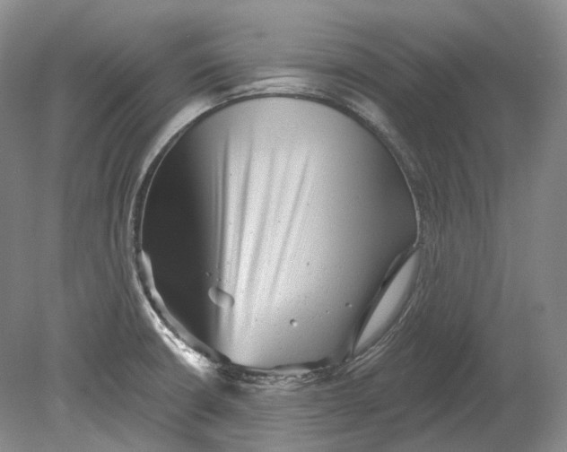 X0000080741426200701021135