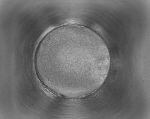 X0000080741427200701021135