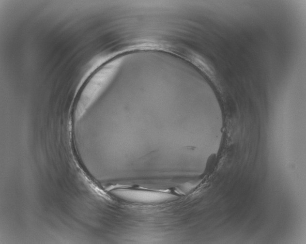 X0000080741428200701021135