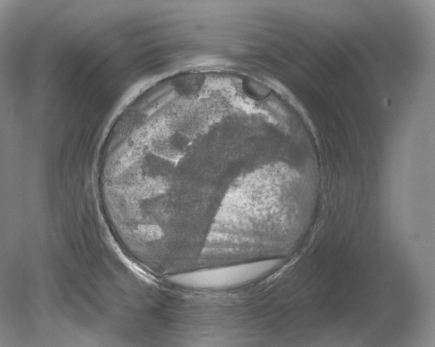 X0000080741429200701021135