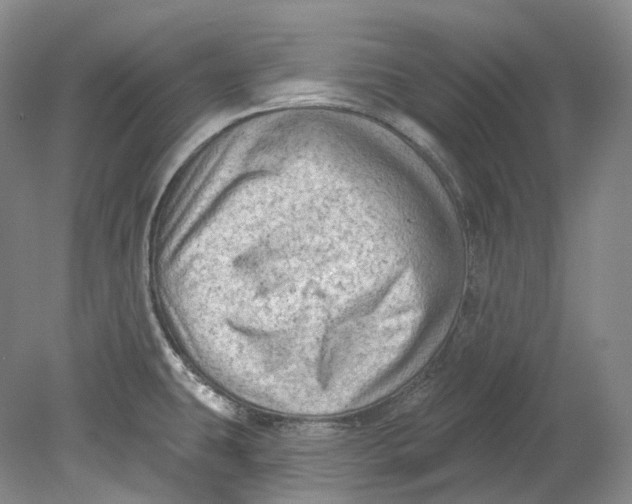 X0000080741431200701021135