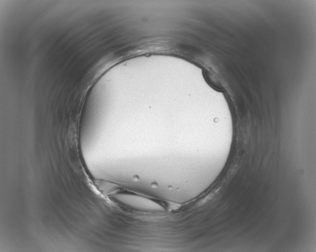 X0000080741433200701021135