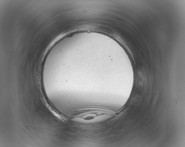 X0000080741437200701021135