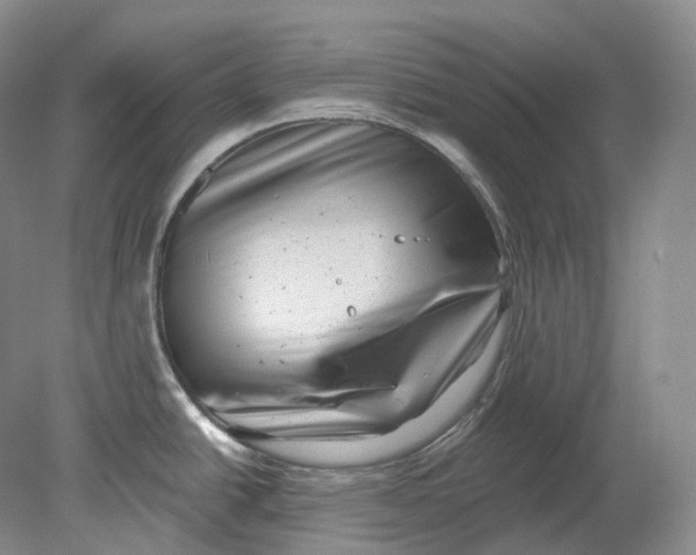 X0000080741438200701021135