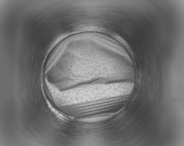 X0000080741439200701021135