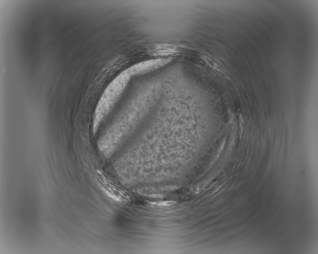 X0000080741441200701021134