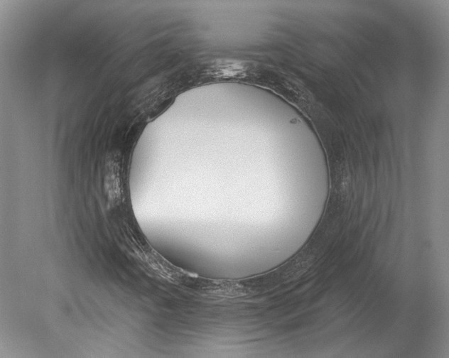 X0000080741442200701021134