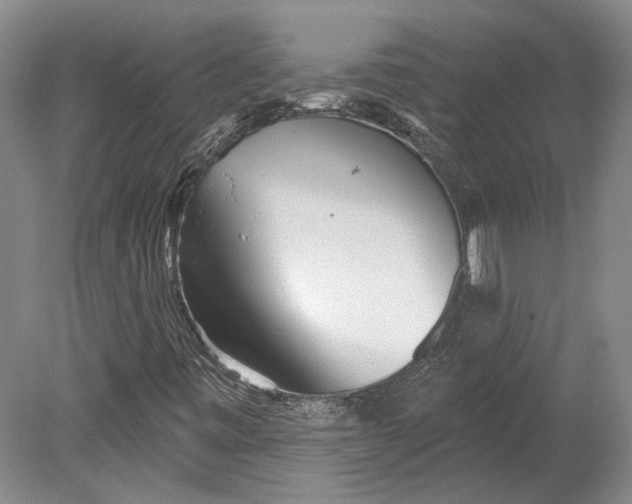 X0000080741443200701021134