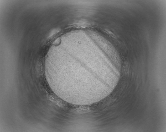 X0000080741446200701021134