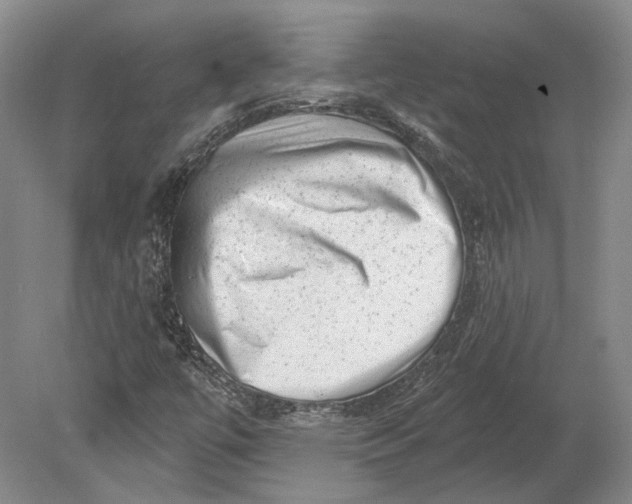 X0000080741447200701021134