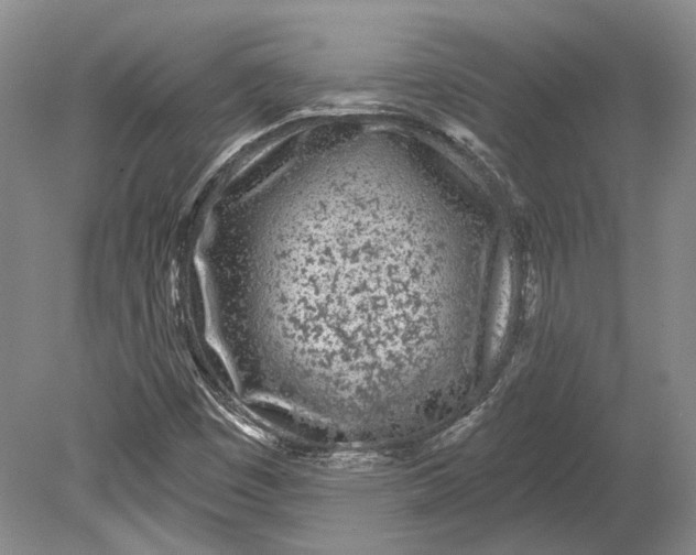 X0000080741449200701021134