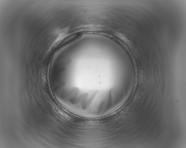 X0000080741451200701021134