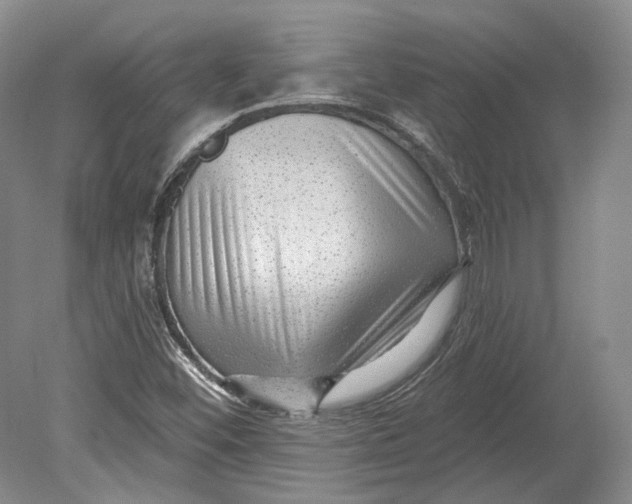 X0000080741452200701021134