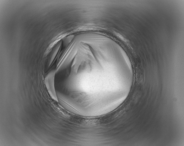 X0000080741453200701021134