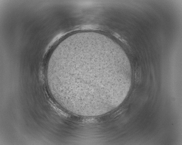 X0000080741454200701021134