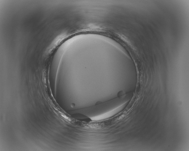 X0000080741455200701021134