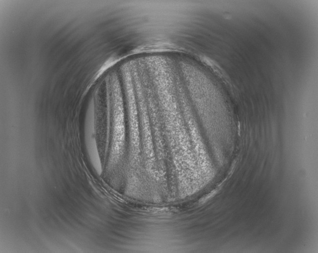 X0000080741457200701021134