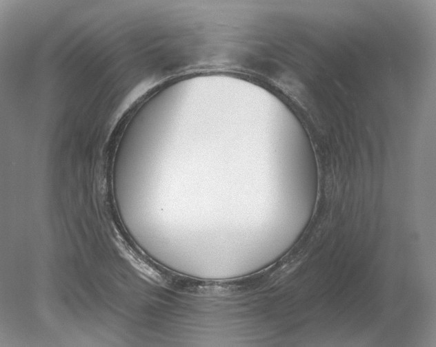 X0000080741458200701021134