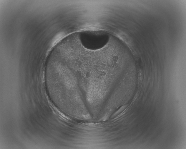 X0000080741459200701021134