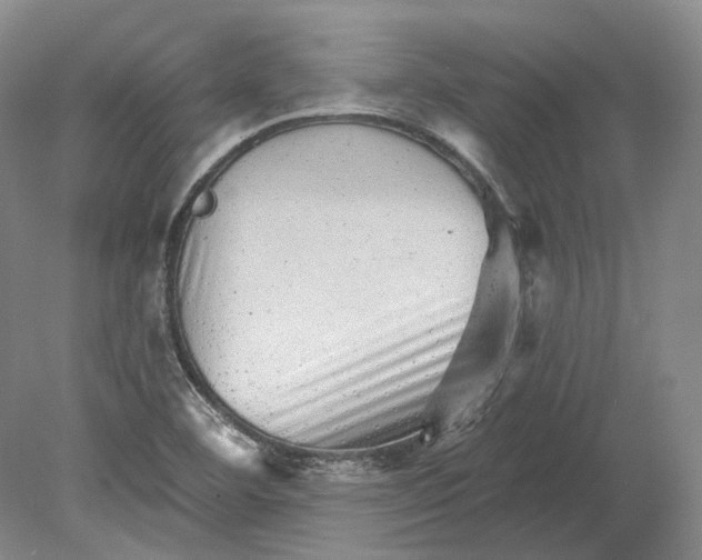 X0000080741460200701021134