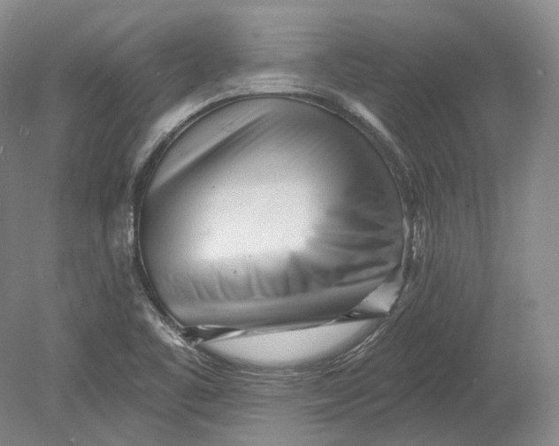 X0000080741461200701021134