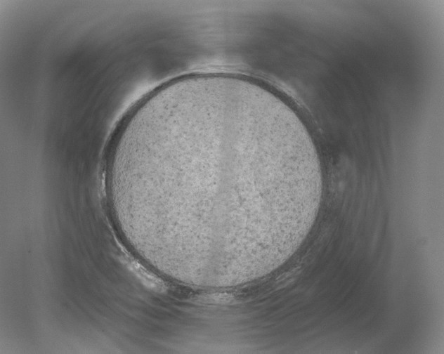 X0000080741462200701021134