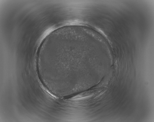 X0000080741463200701021134