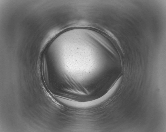 X0000080741464200701021134