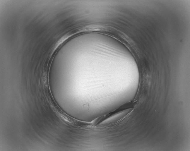 X0000080741465200701021134