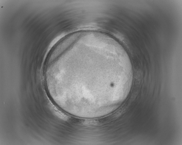 X0000080741466200701021134