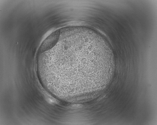 X0000080741467200701021134