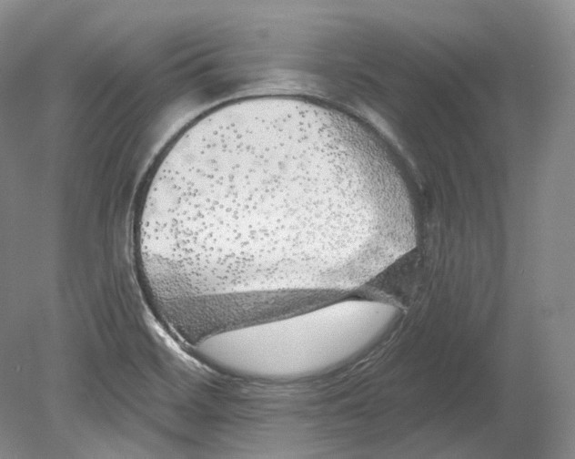 X0000080741468200701021134