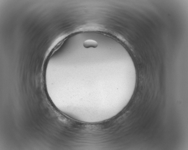 X0000080741469200701021134