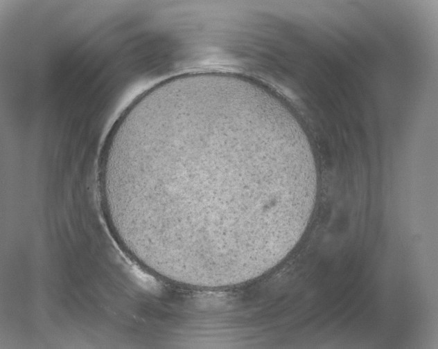 X0000080741470200701021134