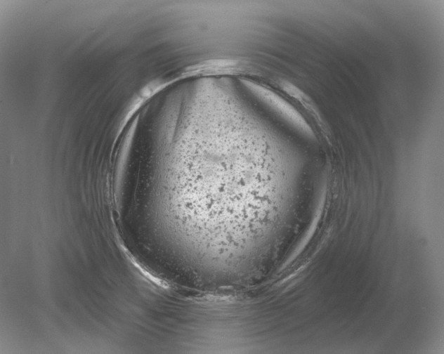 X0000080741473200701021134