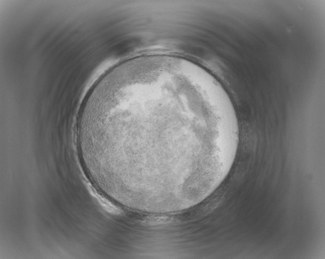 X0000080741474200701021134