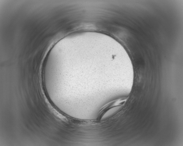 X0000080741475200701021134