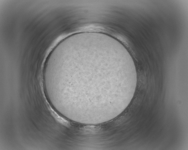 X0000080741478200701021134