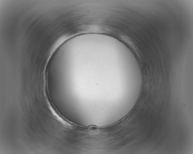 X0000080741479200701021134