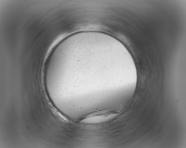 X0000080741480200701021134