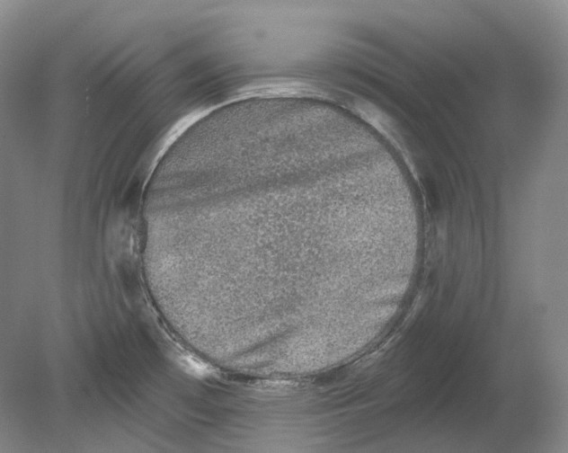 X0000080741481200701021134