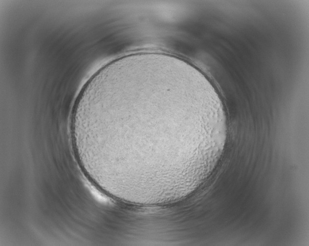 X0000080741482200701021134