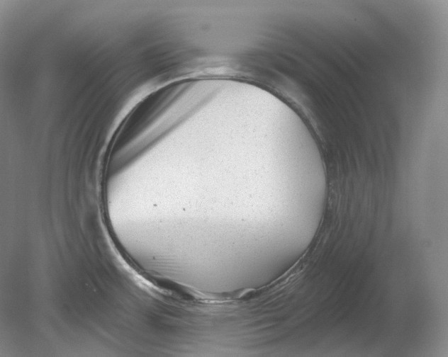 X0000080741483200701021134