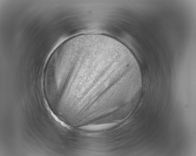 X0000080741484200701021134